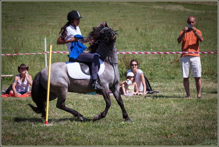 Mounted Games 247